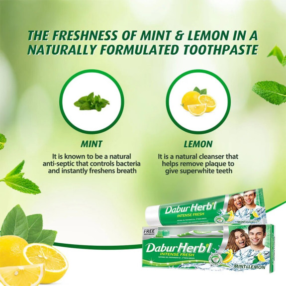 Dabur Herbal Intense Fresh Gel Toothpaste 150gm with Toothbrush